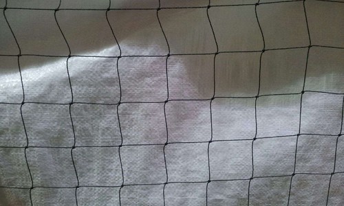 Rete per uccelli 10ft - 3m, x